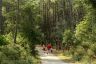 Campsite France Landes : La nature prédomine à Moliets et offre de nombreuses promenades